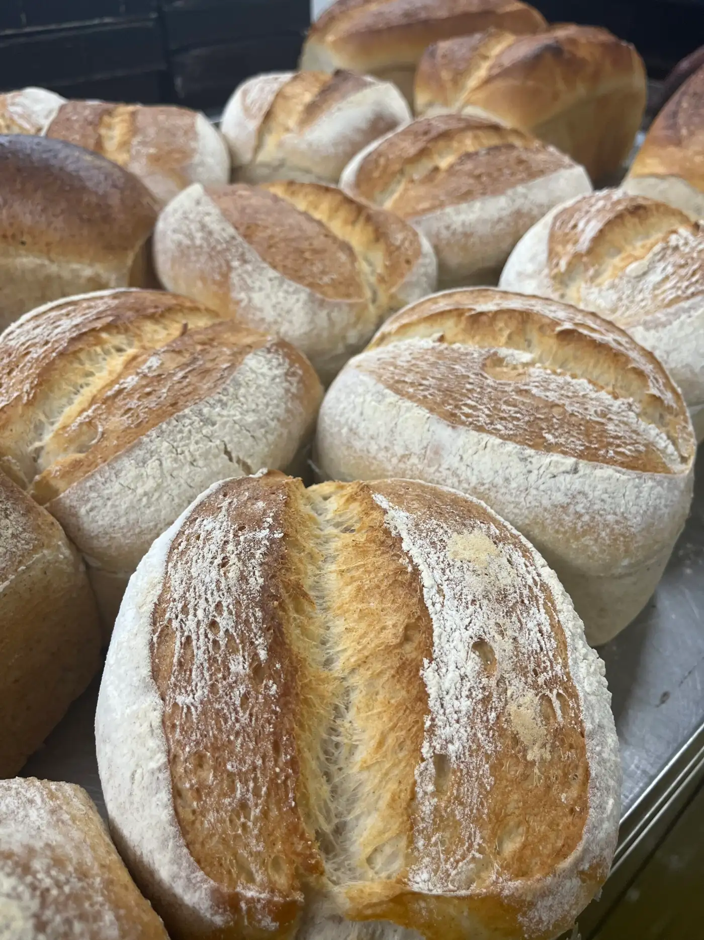Freshly baked bread on display at our Poulner bakery